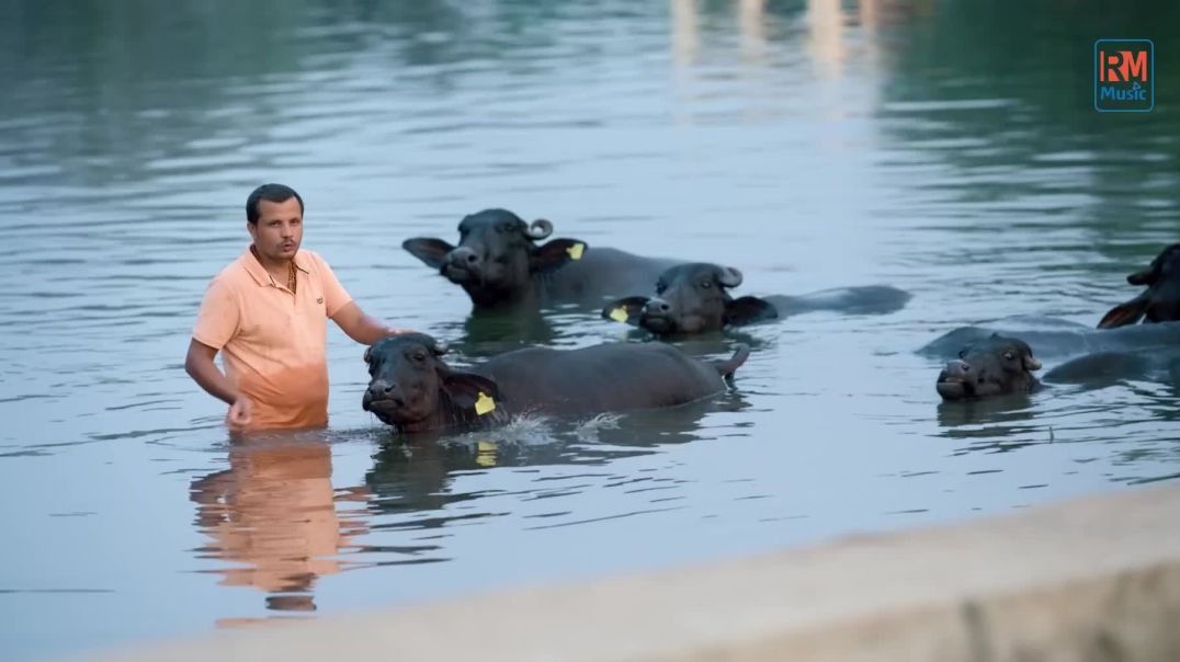 ⁣LAST PEG (FULL SONG) __ Thari Bhabhi Hove Naraj Maine Pini Chod di __  MEETA BARODA __ RAJU PUNJABI(