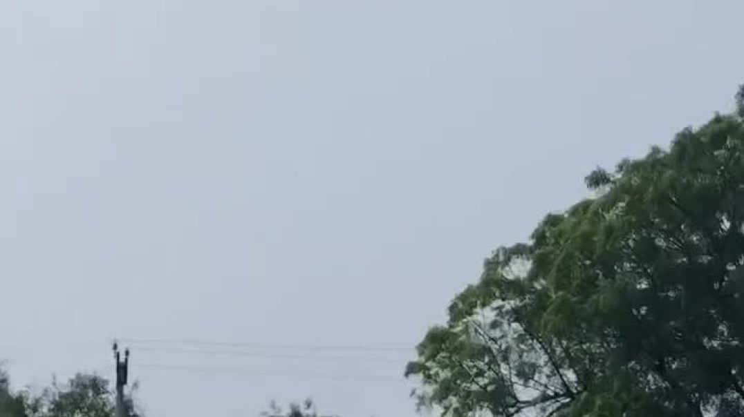 VID_20251111_001152_079