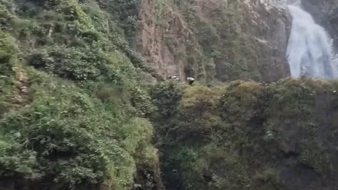 ⁣Trending sort reels