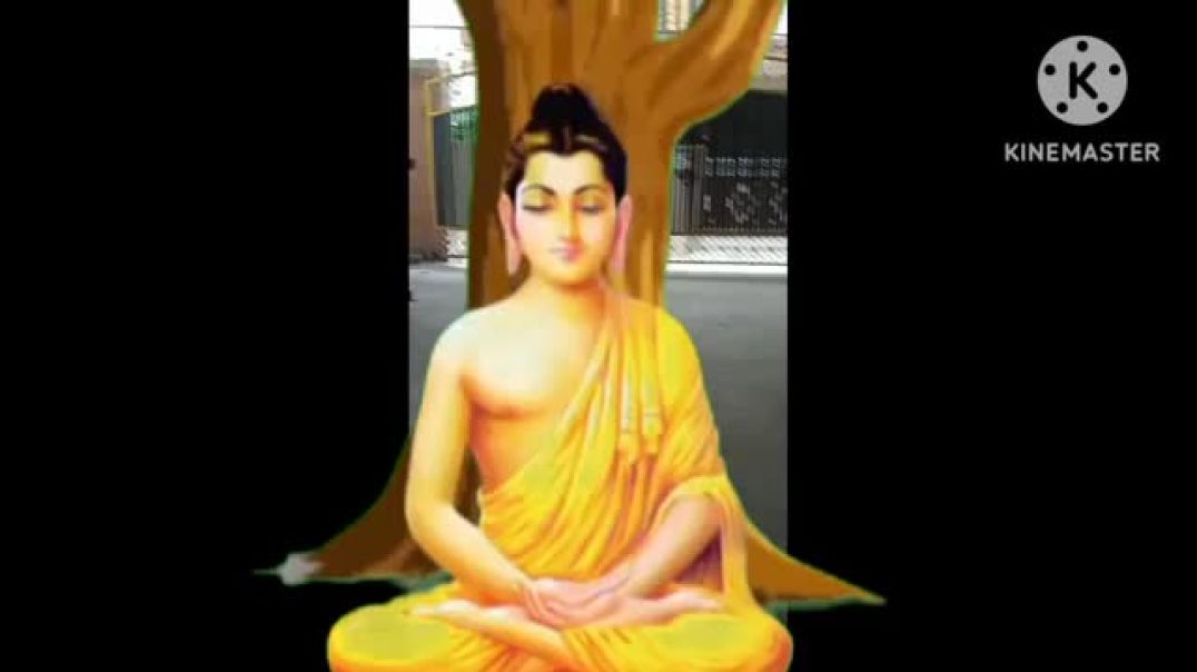 ⁣lord budha meditation green screen effect video(360P)