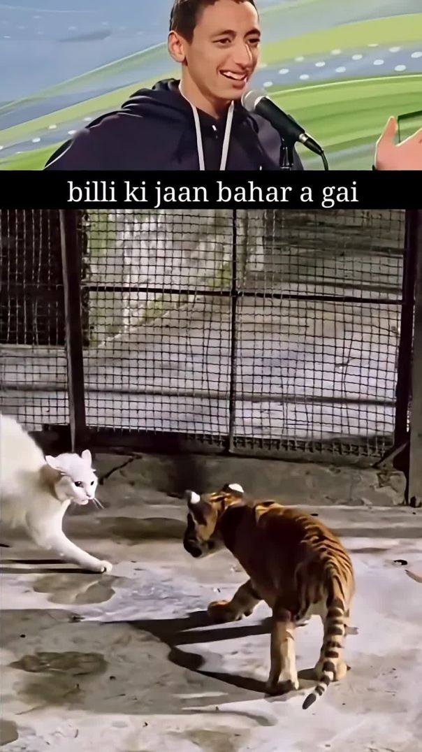 billi ko mot se dar nahi lagta।😂_funny _comedy _memevideo(1080P_60FPS)