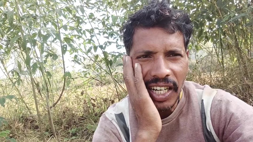 ⁣Video || Vlogs video|| New Vlogs|| Village first vlog