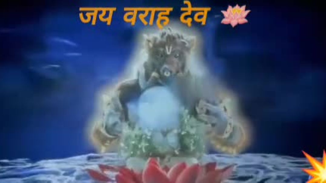 YouCut_20251009_234934463