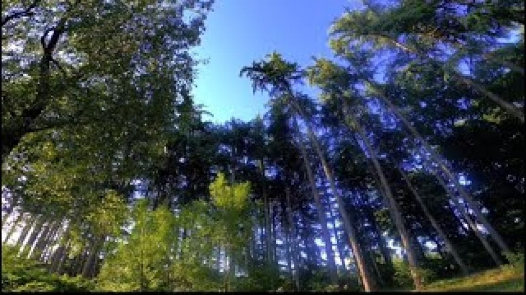 ⁣Relaxing Music for Stress Relief _Stop Anxiety_Depression Mind_ Body & Soul Healing_JaiM