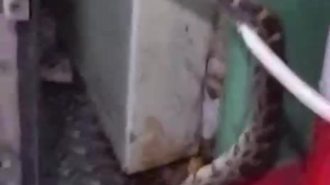 ⁣Viral snake video in Kokan railway train😱