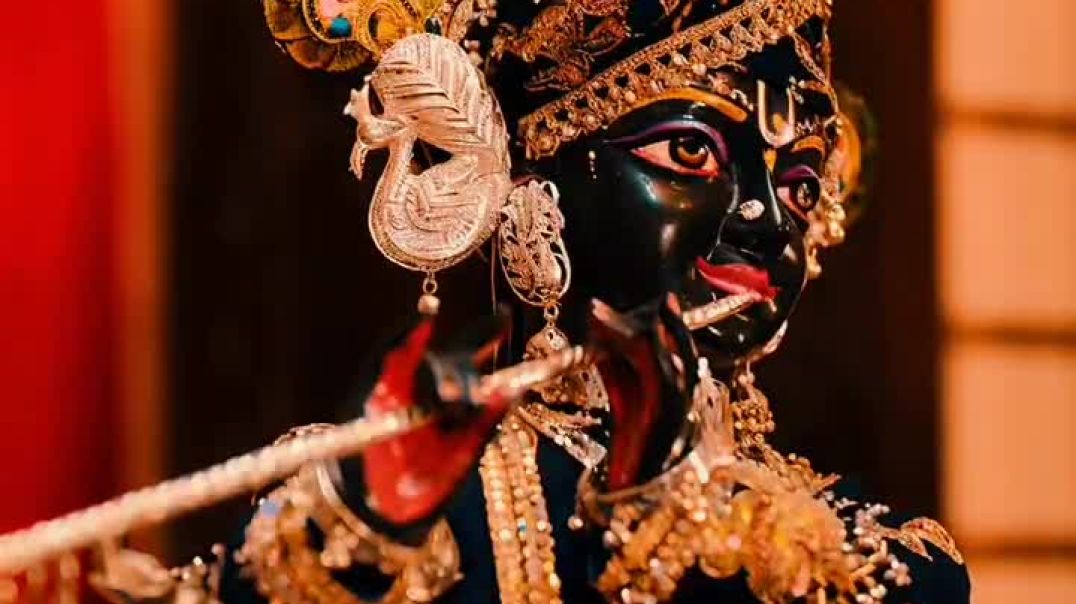 ⁣VID-20251116-WA0001