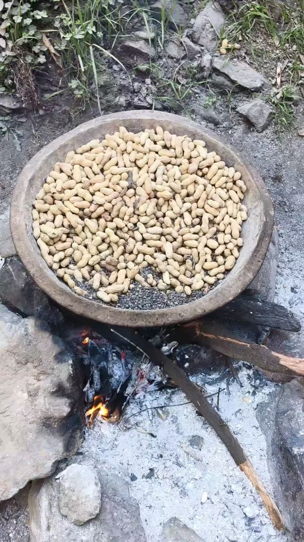 मूंगफली