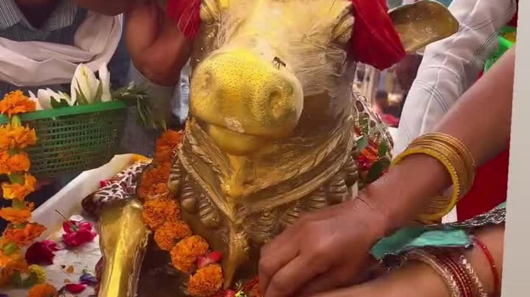 ⁣Jay Gokul baba 🚩_