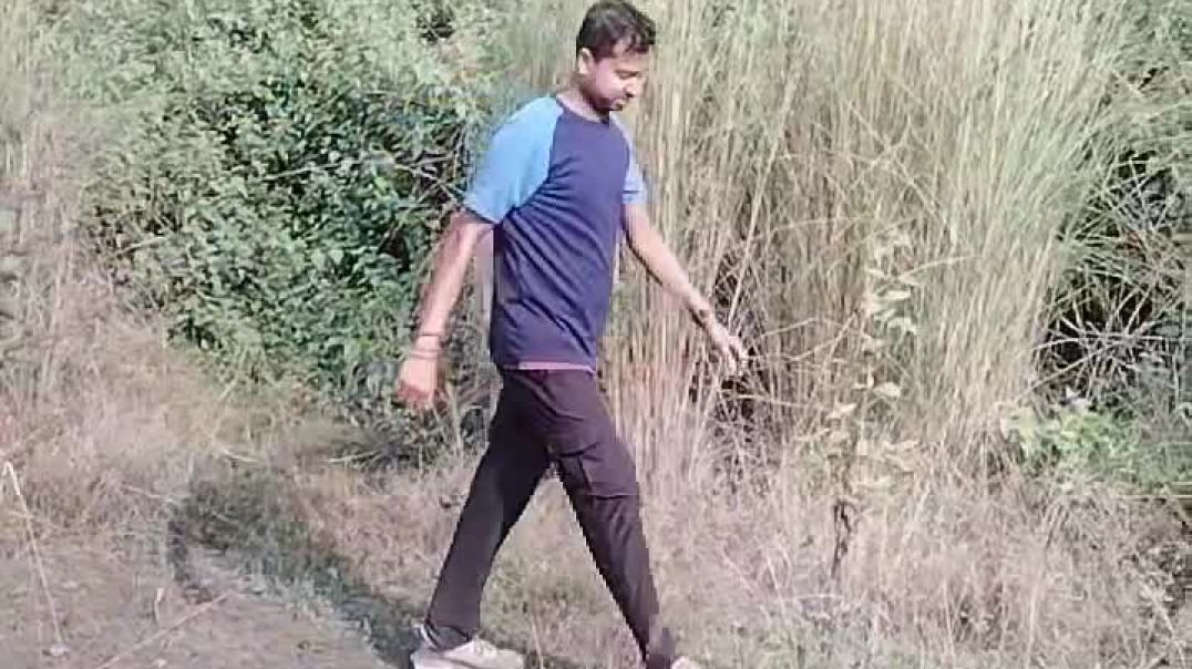 Waking in jungle with Nature