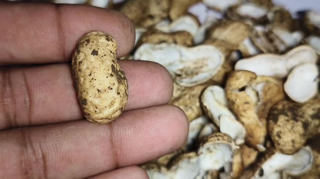 मूंगफली के छिलकों के फायदे