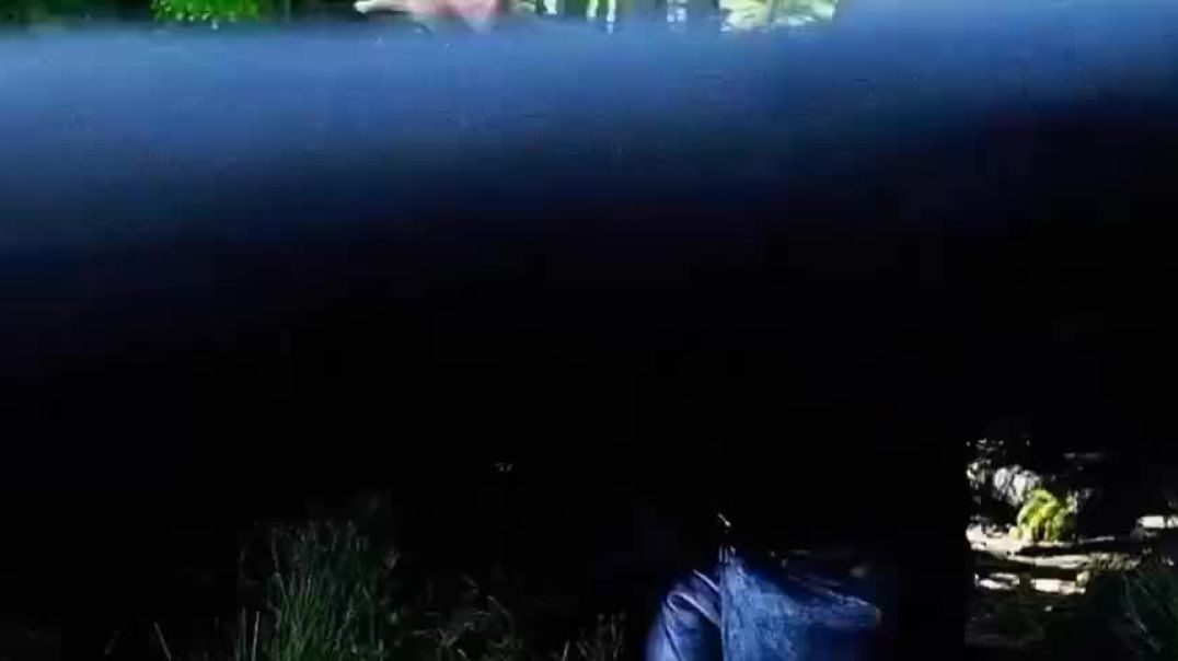 ⁣f2591cbe6b19d7aa9cca45bccf9a263b-Hindi~2