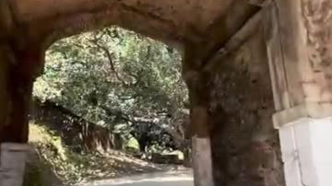 ⁣VID-20251114-WA0003