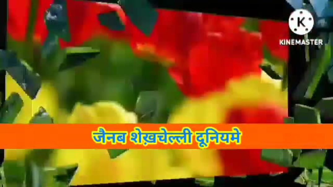 ⁣shekhchilli,shekhchilli ki latest movie,shekhchilli comedy,shekhchilli ki khani,shekhchilli ki kahan