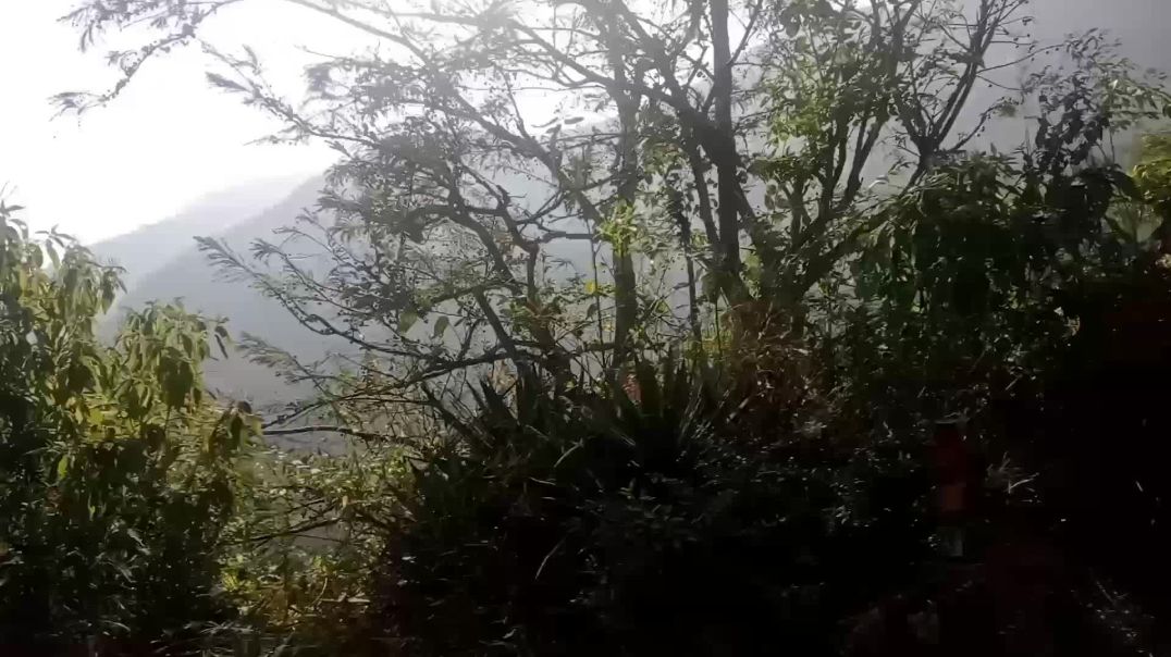 पहाड़ों की सूरत न बदलें।