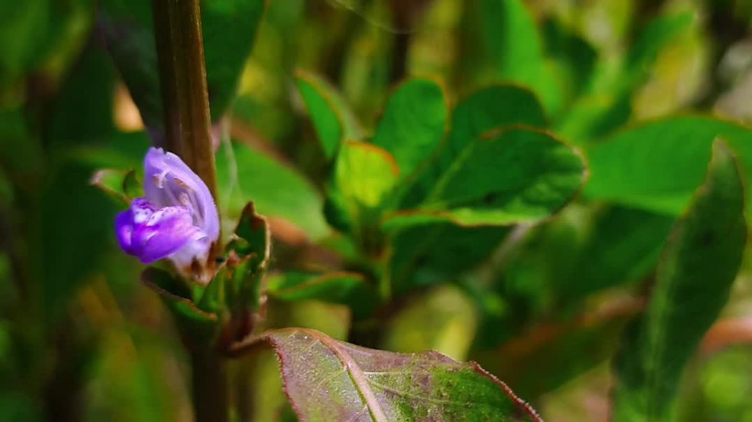 ⁣Original cinema video 🎦