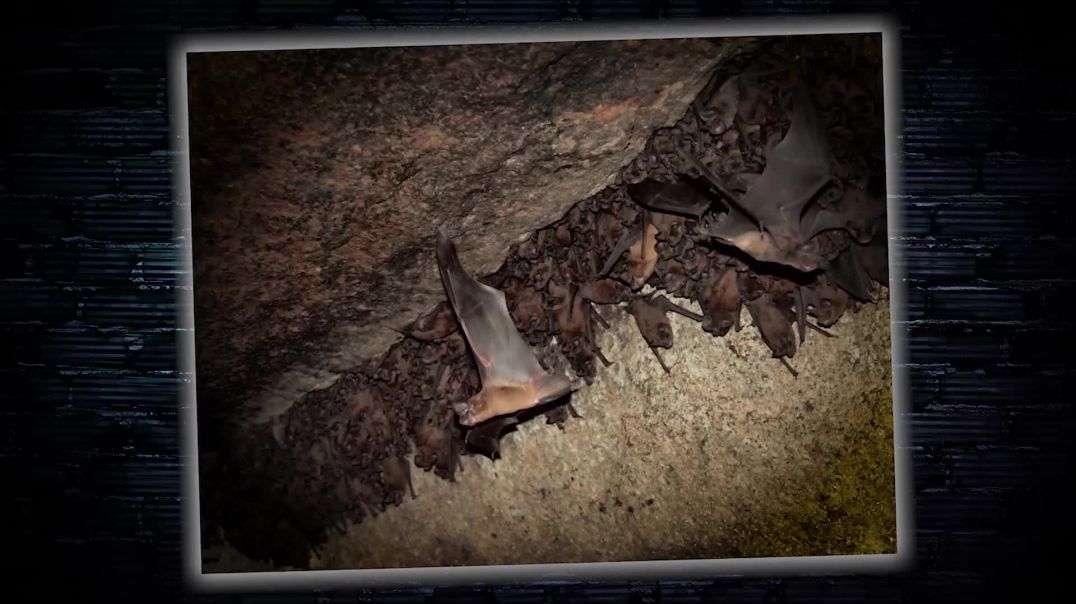 ⁣horror stories 26 The Disturbing Truth Behind This PHOTO💔_Full-HD