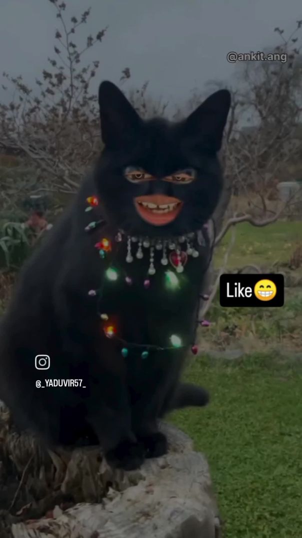 PLZ LIKE SHARE AND SUBSCRIBE GYES 🥹🥹