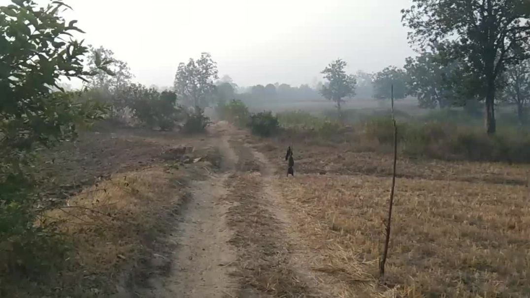 ⁣सुबह सुबह खेत