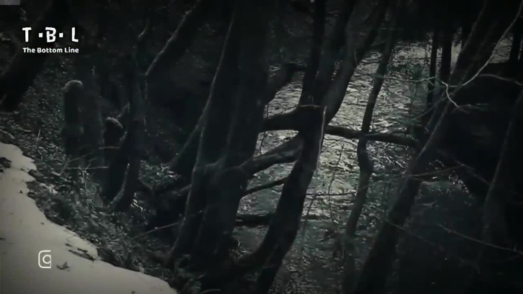 ⁣paranormal activity 2