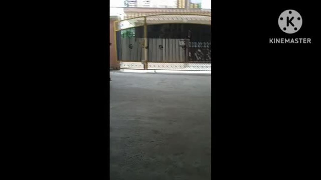 ⁣dinosaur in my house(360P)