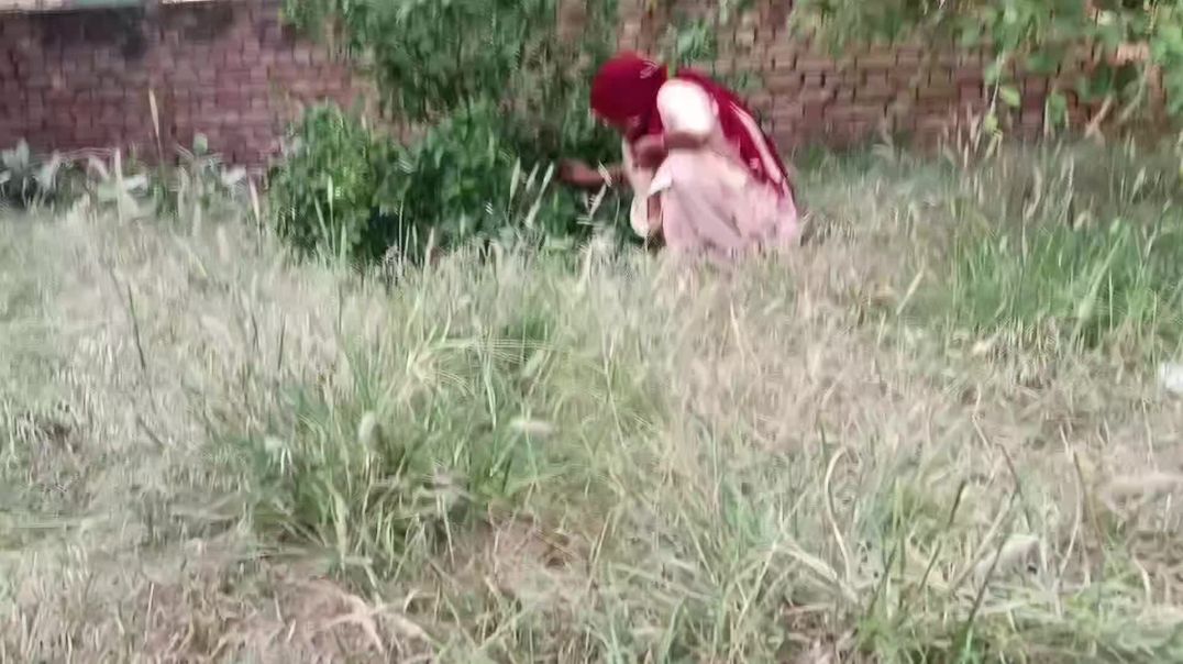 video_20251101_194453_edit