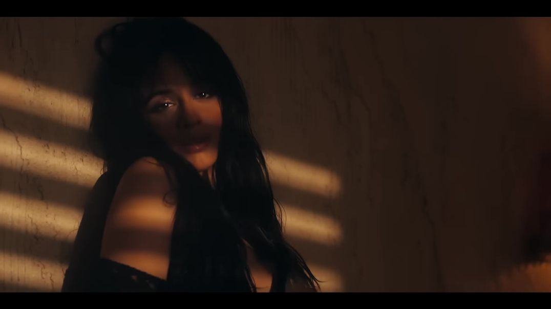 ⁣Shawn Mendes, Camila Cabello - Señorita song.