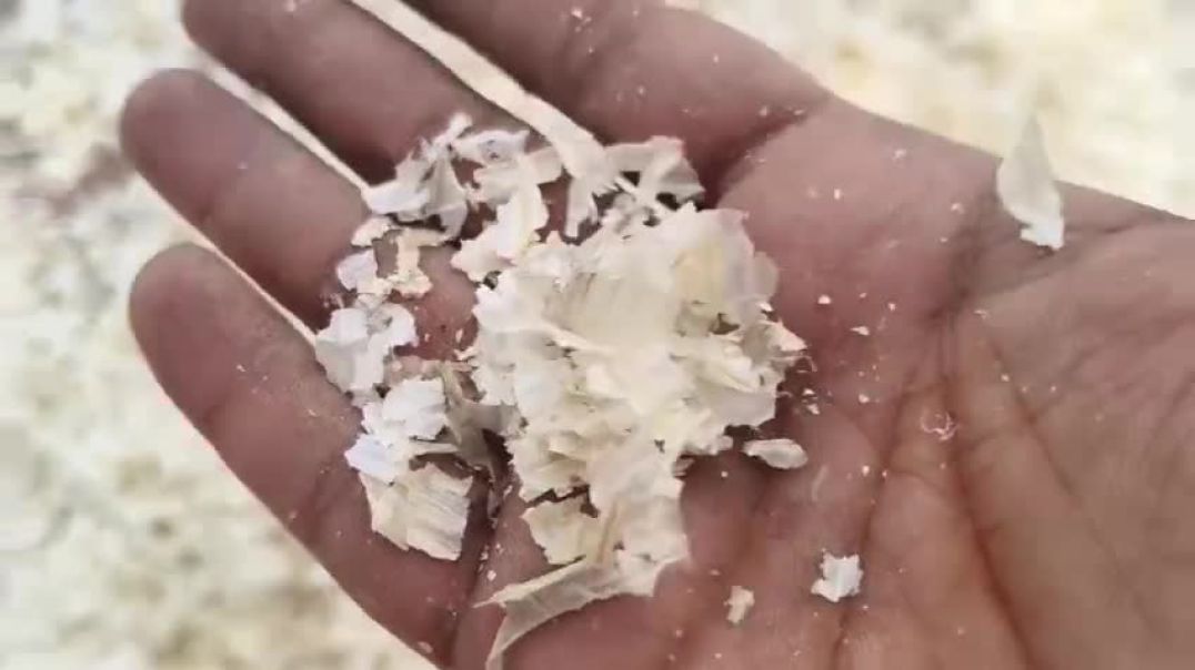 लहसुन के छिलकों को बेकार समझ कर फेंकने वालो एक बार इस वीडियो को पूरा देख लें