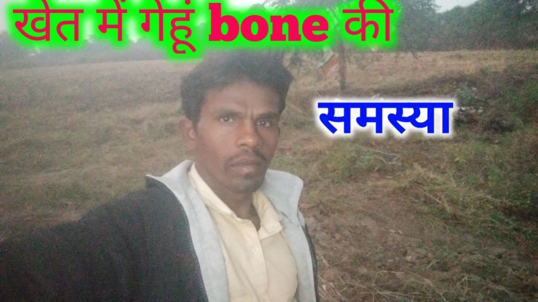 गेहूं बोने की तैयारी