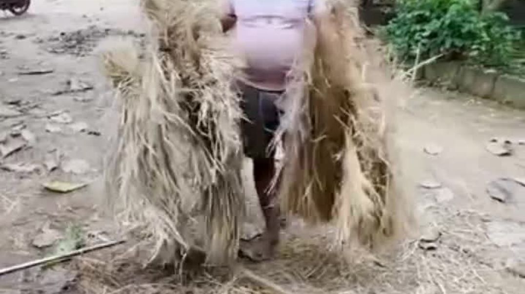 ⁣Video mushroom ki kheti kaise ki jaati Hai