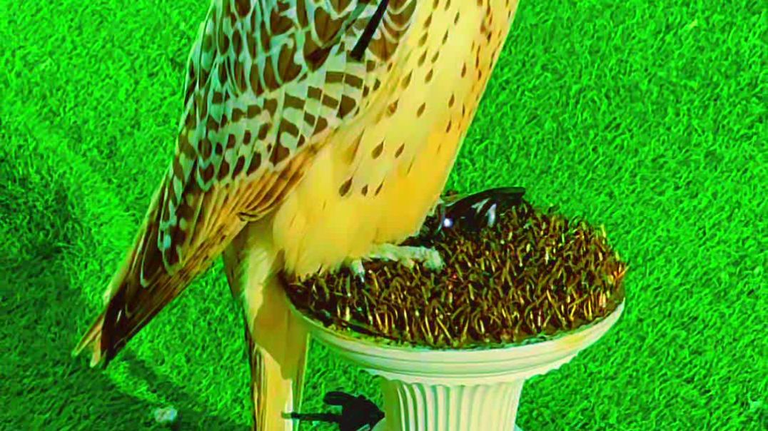 ⁣2025-11-09-112347991