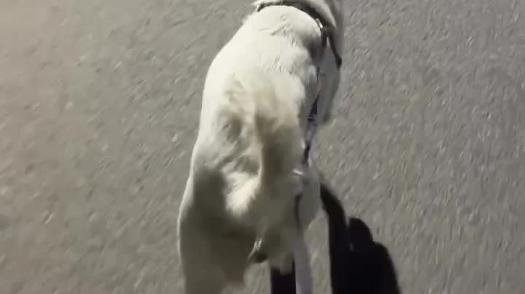 mood fresh RELEASE MIND