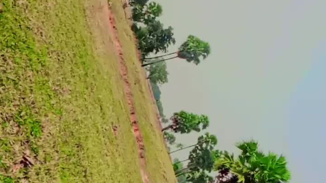 ⁣Vlog video trending vlog #vlog