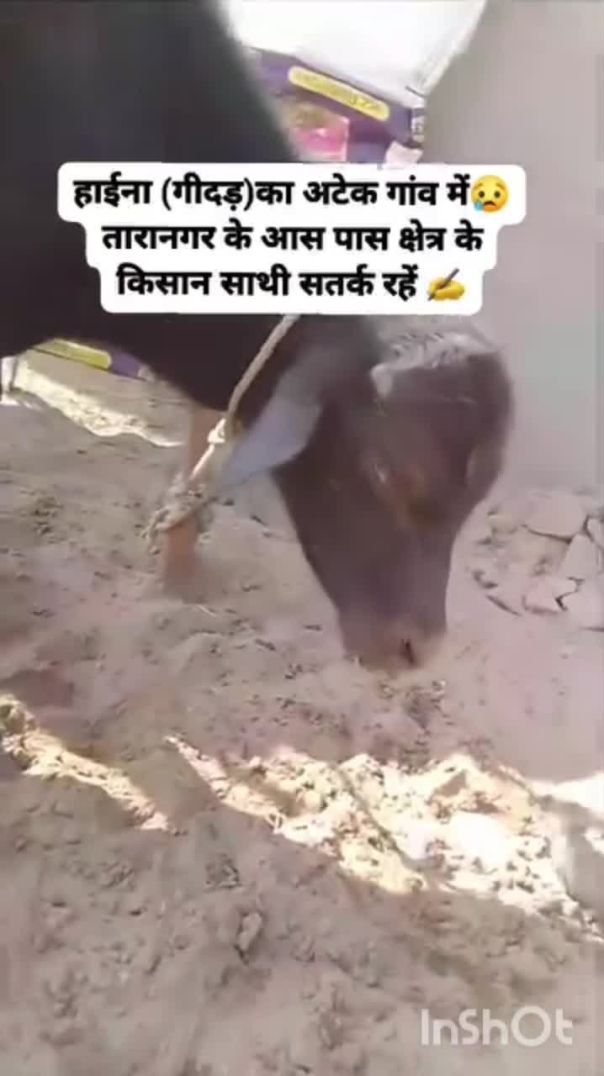 InShot_20251119_165034383