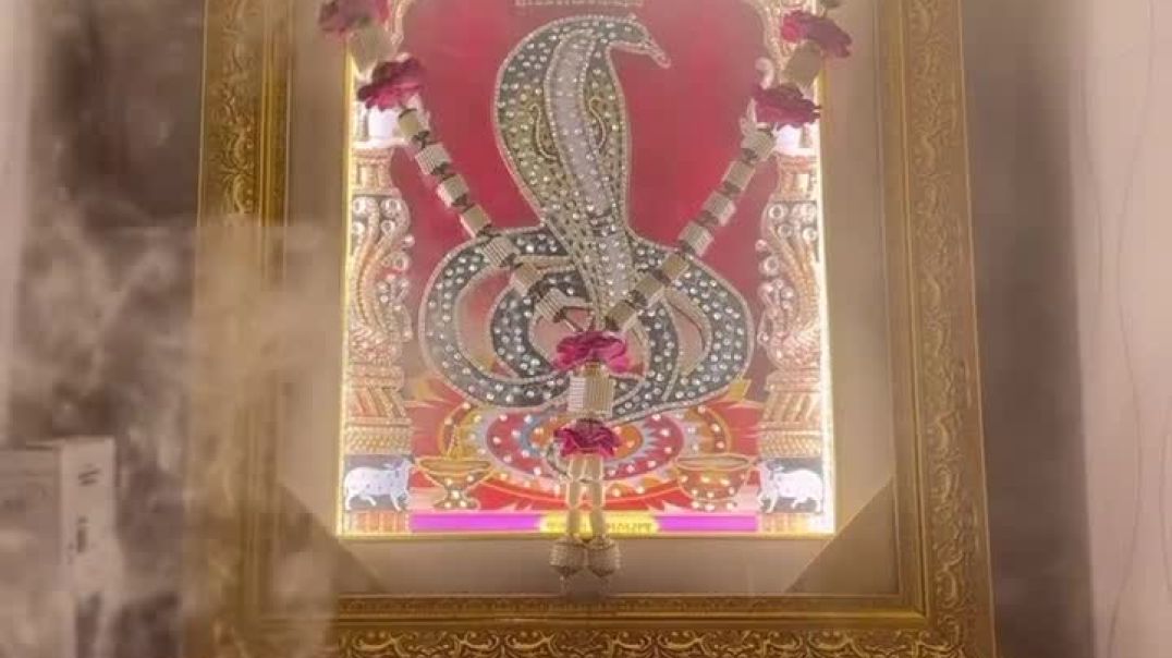 VID_20251115_023020_237