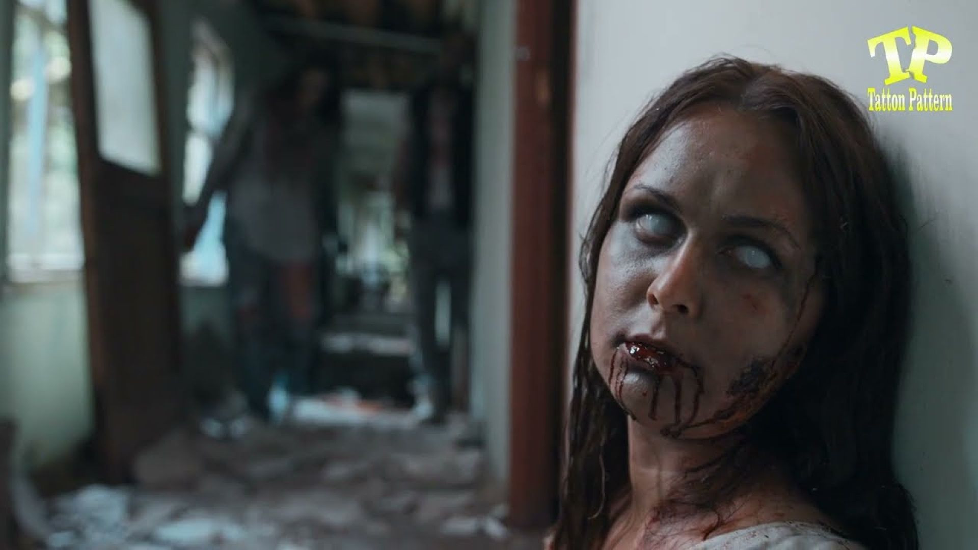 ⁣Cats and Paranormal Activity _ Horror Video