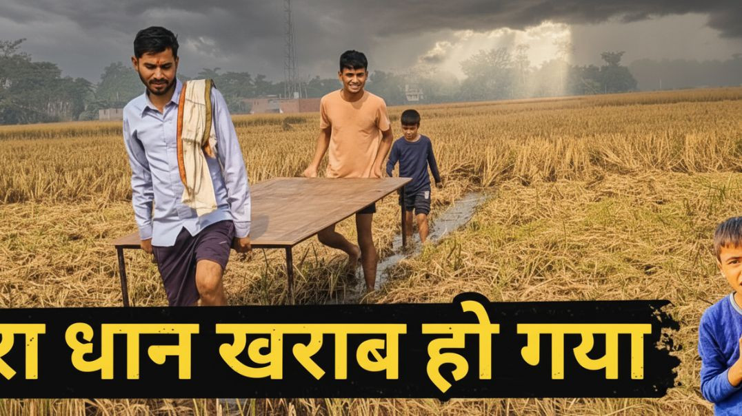 ⁣Sara dhan kharab ho gya kisan ka hal dekho ye kisan ka reality h