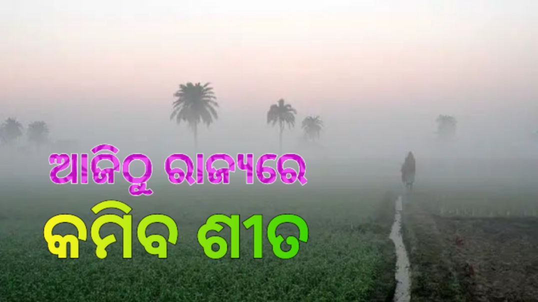 ⁣୨ରୁ ୪ ଡି଼ଗ୍ରୀ ବଢି଼ପାରେ ତାପମାତ୍ରା।