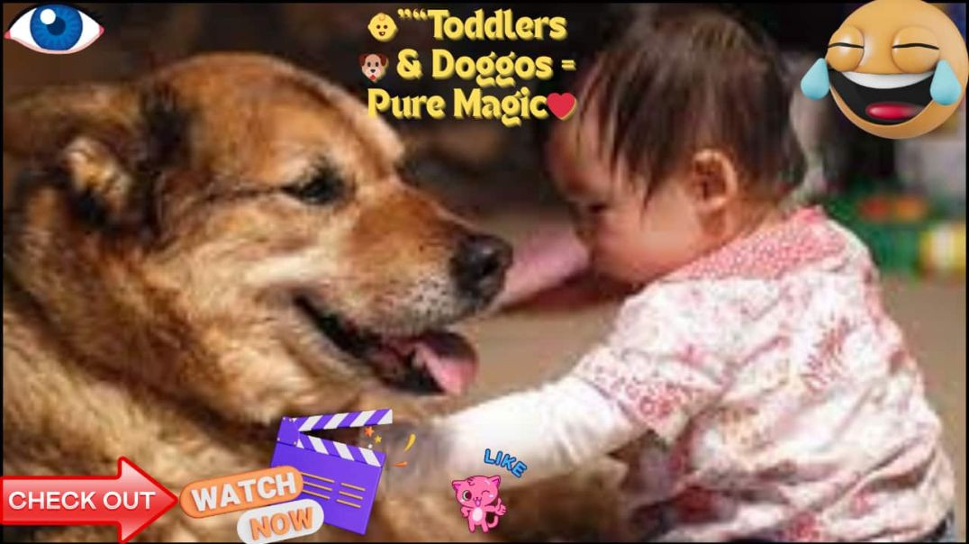 ⁣🐶👶❤️Toddlers & Doggos = Pure Magic ✨🐾