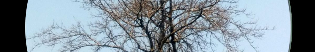 Skkijubani2.0 Skkijubani2.0