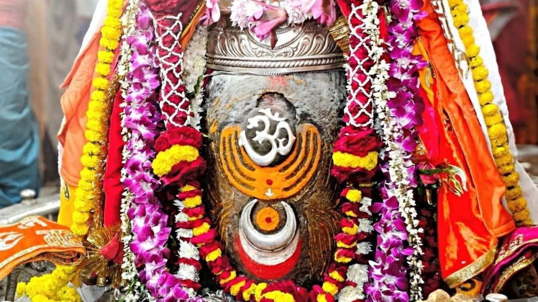 ⁣Nitya Mahakal Bhasma Aarti Darshan 29.11.2025 🙏🏻🧘🏻 #mahakaleshwar #mahakaldarshan