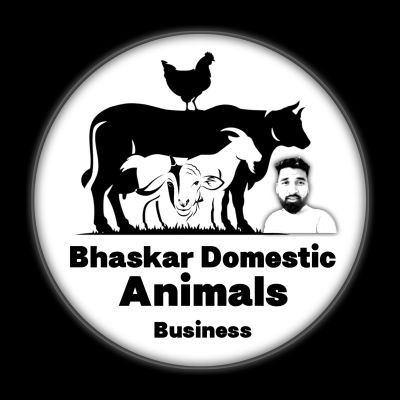 Bhaskardomesticanimals