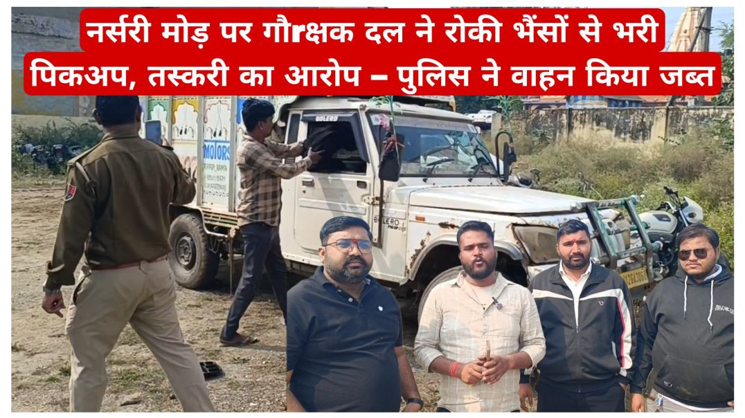 नर्सरी मोड़ पर गौ­rक्षक दल ने रोकी भैंसों से भरी पिकअप, तस्करी का आरोप – पुलिस ने वाहन किया जब्त