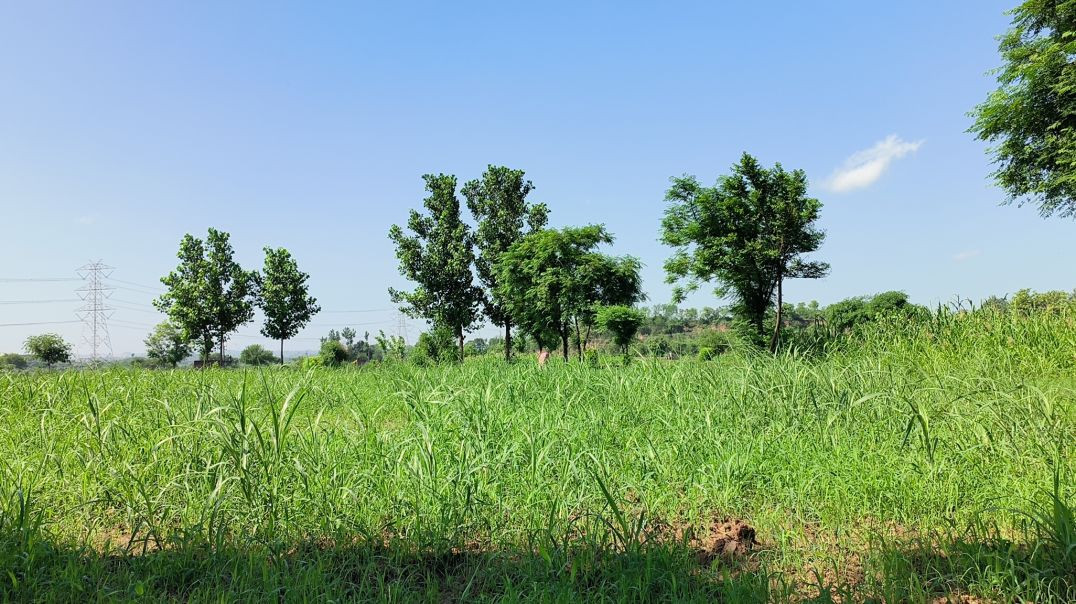 ⁣Village life volg #blogd #apnatube