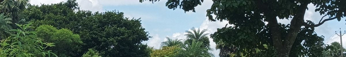 Vijaytudu