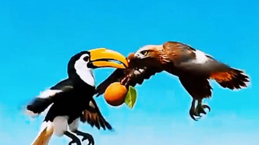 A_Turtle’s_Tear_for_the_Tree_He_Once_Saved_🐢💔_#ai_#sorts_#animals_#save