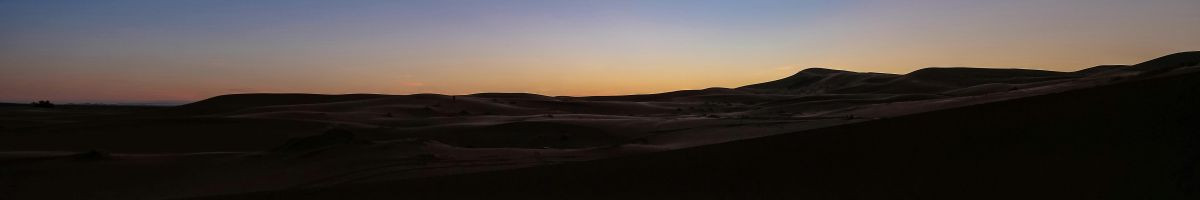 Rajivdikshitji Swadeshi