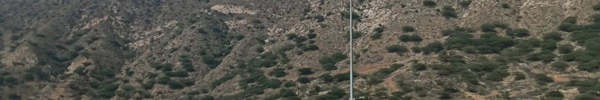 Dholpur king Amit Kumar