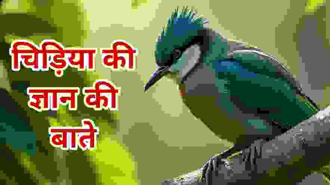 ⁣चिड़िया की कहानी, ज्ञान की बातें, moral stories in Hindi, बच्चों की कहानियाँ, inspirational story Hi