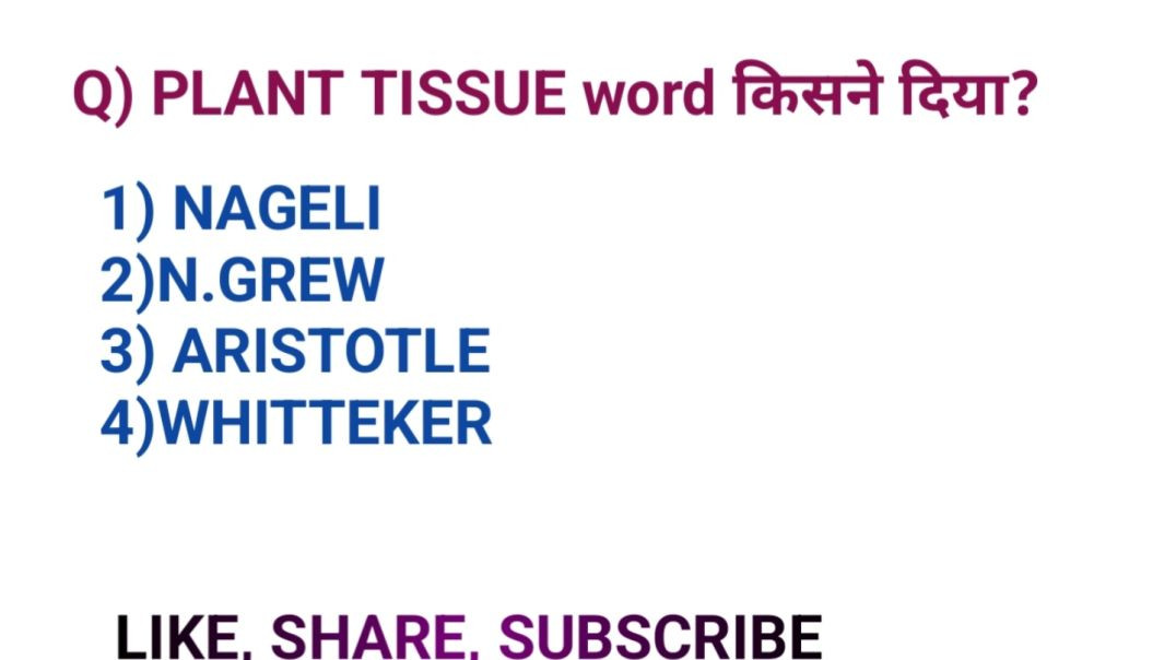 video_20251110_063544_edit