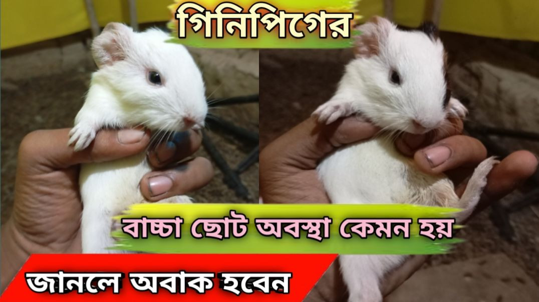 InShot_20251122_105346184